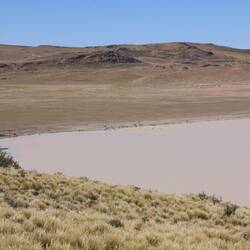 unzählige vermeintlich verdächtige Objekte im Hintergrund 👀🔎