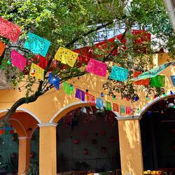 Schon fast wie in Mexiko...