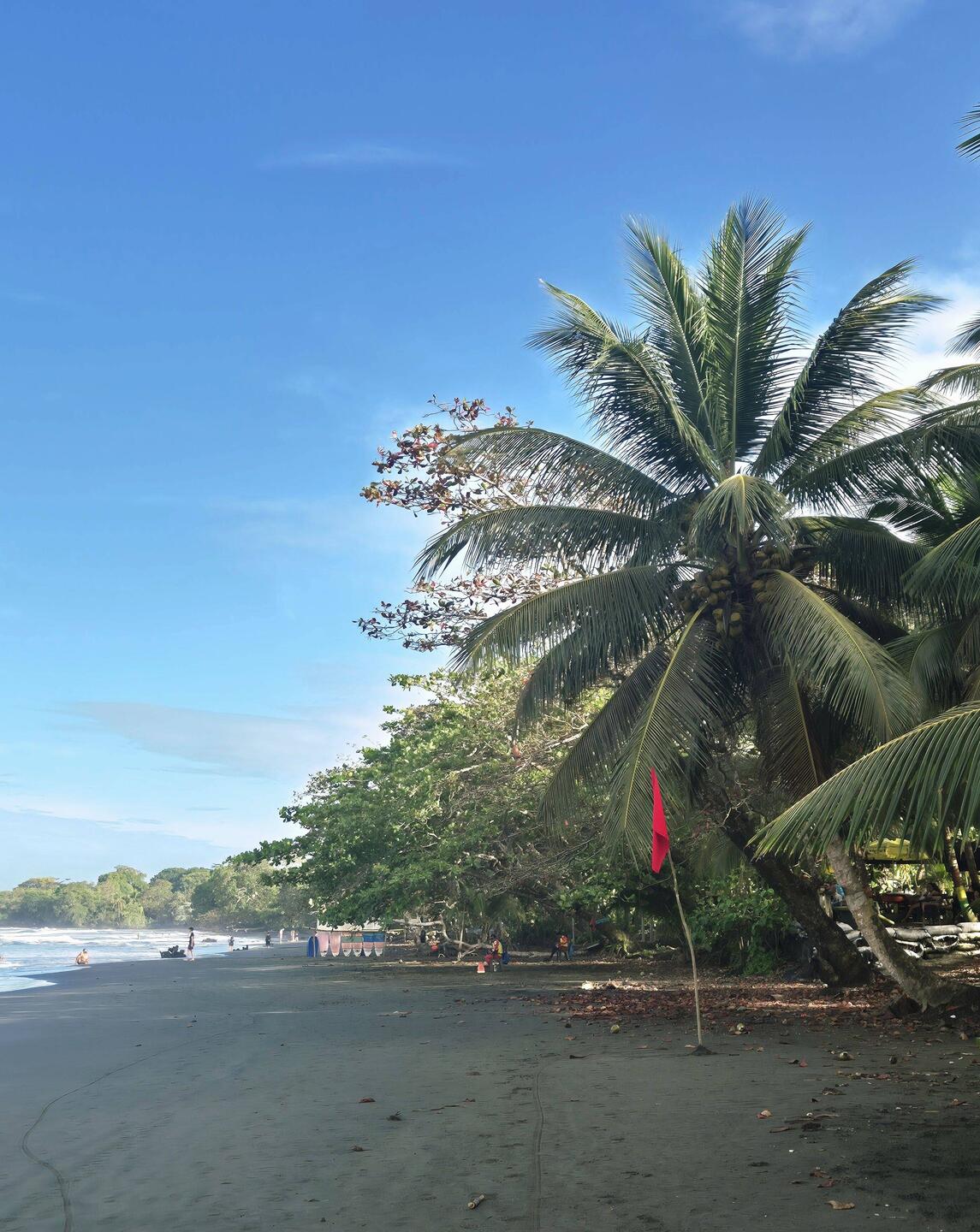 Playa Negra in Cahuita
