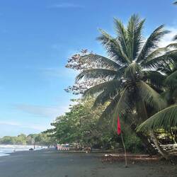 Playa Negra in Cahuita