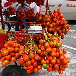 Chontaduro - Superfood!