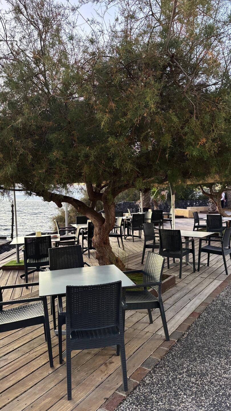 Alcalá Promenade - das ist allerdings ein anderes Lokal. Das Sauco.