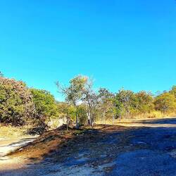 Man muss schon gut schauen, um uns zu sehen.