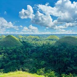 Chocolate Hills 🍫⛰️