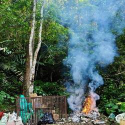 Alltägliche Müllverbrennung 🔥🤨🙄