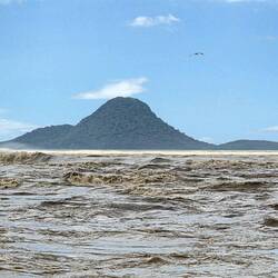 Île de Moutohorā (Île Baleine)