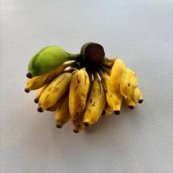 De kleine banaantjes