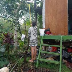 Pono nous cuillère une magnifique mangue