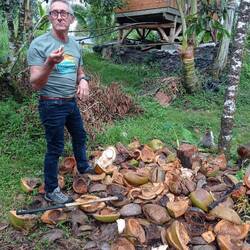 Avant de déguster la noix de coco il faut l'ouvrir