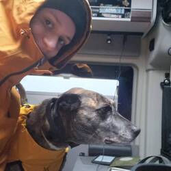 Da muss jemand noch etwas begeistert werden