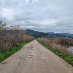 Endlich wieder "trockene" Strasse.