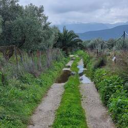 ... hier fanden wir dann, egal da gibt es schon einen Weg vorbei.