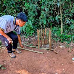 A Guarani bird trap.
