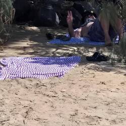 Seeking shade when its 31°