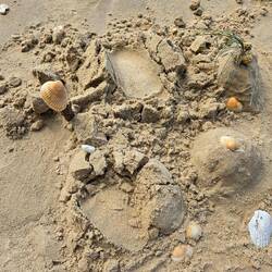 About an hour later a young boy stomped on it.