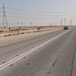 Camel farming is a big thing over here.