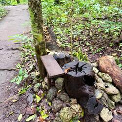 Apparently in the high season the National Park staff guy sits here to collect entry fees 😅