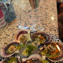 Die Jakobsmuscheln würden frisch zubereitet und waren sehr lecker😋