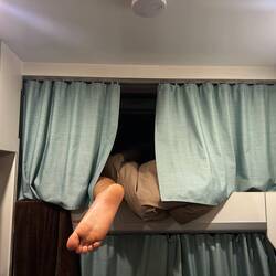 Schlaft gut Jungs... (Eigentlich wäre die Liegerichtung ja von links nach rechts... 🤣)