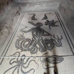 Mosiac Floor in Women's Bath in Herculaneum