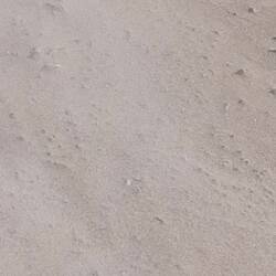 Da wedeln selbst Fanny die Öhrchen