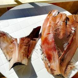 Von Palmen gefallene Kunstwerke