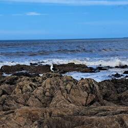 Punta de las Salinas -- where Rio de la Plata meets the Atlantic Ocean.