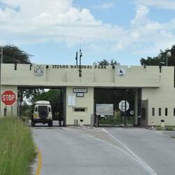 Eongang zum Namutoni Camp