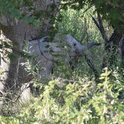 wer gut hinschaut, erkennt das Baby