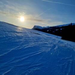 Tolle Abendstimmung...