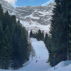 ... zum Kanonenrohr ...