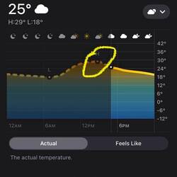 Yep heute war nochmal Sommertag hier in FL, ab Montag etwas kühler🙃