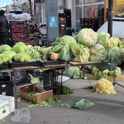 Das sind ja mal Kohlköope😲