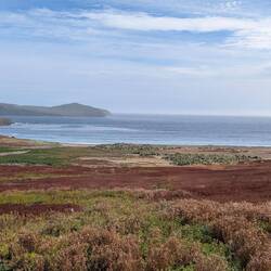 You can rent that cabin