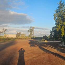 Morning after the rain