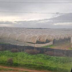 Huge Ag area...where all our tomatoes & berries come from in winter