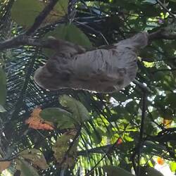 Und es bewegt sich doch