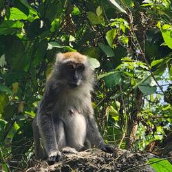 Aber ich habe ihn getroffen.