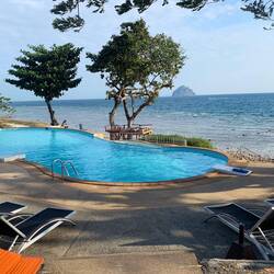 Here's my treehouse in daylight. Oh, my!