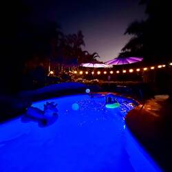 Pool Party