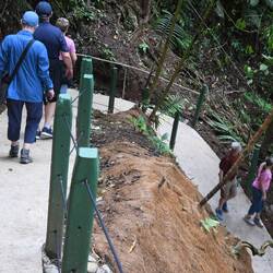 Dieser Weg wird kein leichter sein