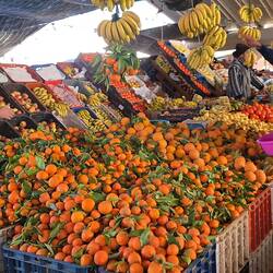 Jede Menge frisches Obst und Gemüse