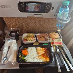 Mittagessen über den Wolken, es gibt Fisch und sogar Metallbesteck! Schmeckte alles sehr gut😋