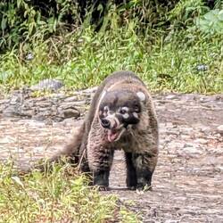 Ganz alleine war ich nicht unterwegs.