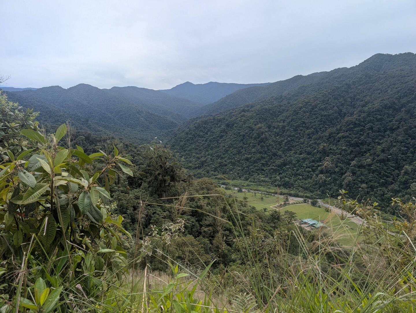 So viel Natur und keine Wanderwege, also eine Schotterstraße hoch mit schönen Ausblicken