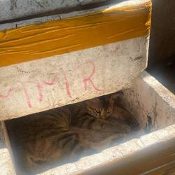 Interesting hiding spot