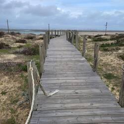 Bequem geht es zurück.