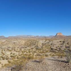 In echt, der ganz rechts im Vordergrund kommt gleich.