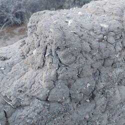 Bestehen aus Dreck und Stroh, irgendwie wie die Wände in unserem Haus von 1911 zuhause 😉