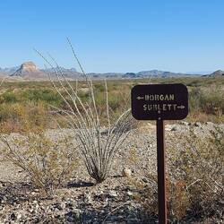 Eine links, eine rechts.